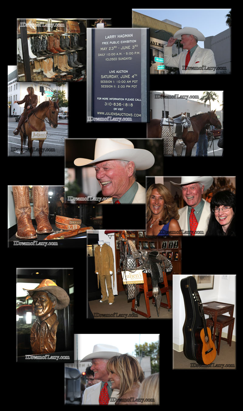 Auction Preview Party