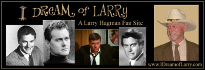 www.idreamoflarry.com logo