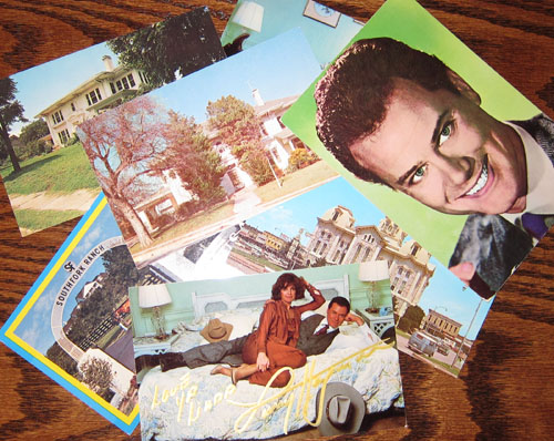 Collector Cards