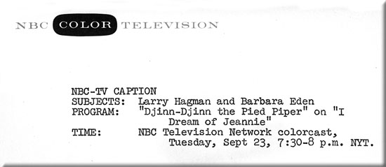 Network information for episode