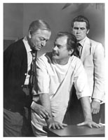 Robert Young, Larry Hagman, James Brolin, Marcus Welby, M.D.