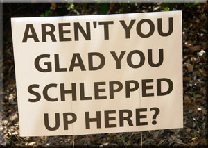 Aren't you glad sign